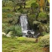 Устройство водопадов в саду фото