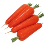 Морковь, Морковь оптом фотография