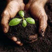 Микроудобрения фото