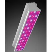 Светодиодная фитолампа LED СКУ01 “Fito” 100w фото
