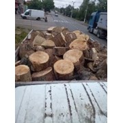 Продам дрова: софора, акация, гледичия, ясень фото