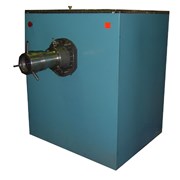 Волчок  фото