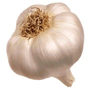 Продам чеснок оптом фото