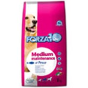 Корм для собак Forza 10 Medium Maintenance из рыбы 15 кг