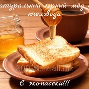 Натуральный мед с эко-пасеки фото