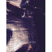 Кожа Нильского крокодила, для пошива Одежды. фото