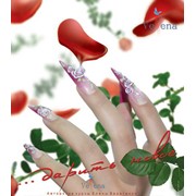 Курсы : Моделирование искусственных ногтей гелем