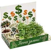 Пачка-зелени! Живая открытка Happy Plant наборы для выращивания