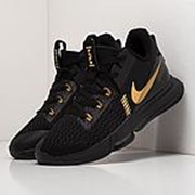 Кроссовки Lebron Witness V Nike Баскетбольные кроссовки размеры: 40, 41, 44, 45 Артикул - 85081 фото
