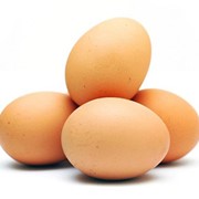 Инкубационное Яйцо - Росс 308 фото