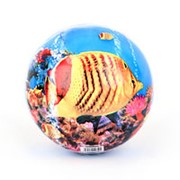 Мяч ПВХ “Рыбки“, “Мишки“, в ассортименте фото