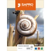 Этикетка SAPRO A-4 210x148,5 мм (2)
