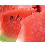 Отдушки: Отдушка Watermelon (арбуз). 10 мл фото