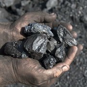 Каменный уголь орех в мешках по 50 кг .