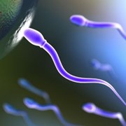 Донорство спермы, (Клиника репродуктивной медицины ВіоТехСом)