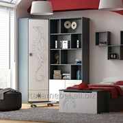 Польская мебель для детской комнаты DRAGONS GRAPHITE,Baggi Design
