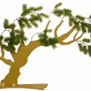 Витринное дерево Хайят