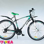 Велосипед горный eurotex stingray 293104e/01