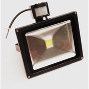 Прожектор LED LH-SF003 sensor 30Wt фото
