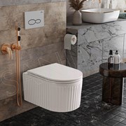 Подвесной унитаз Roxen Royal Matt 530200-01 Rimless Soft Close фото