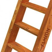 Лестница деревянная для детских игровых площадок Самсон фотография