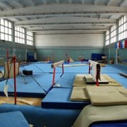 Спорткомплекс Авангард предоставляет в почасовую аренду гимнастический зал. фото