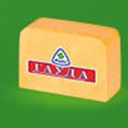 Сырный продукт Гауда фотография