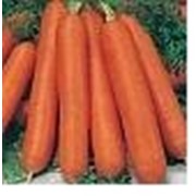 Семена моркови Нелли F1