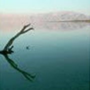 Израиль: отдых и лечение на Мертвом Море фото