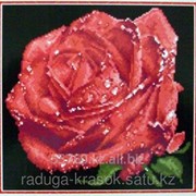 Картина стразами Красная роза 32х31 см фотография