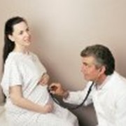 Ведение и наблюдение беременных женщин