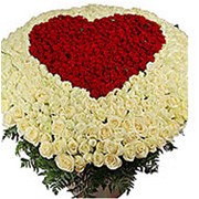 Букет цветов Серце из 501 розы фотография