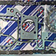 4955590 Комплект прокладок нижний QSX 15, ISX 15 (PAI) фото
