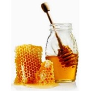 Оптовые поставки мёда с пасеки honey for sale