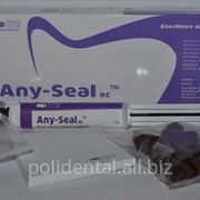 Any-Seal RC — силер для корневого канала на основе композита. фото