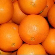 Апельсины сладкие, Фрешевые сорта фото