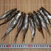 Уклея вяленая Цимла фото