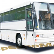 Автобусы МАЗ-152063 и МАЗ-152А фото
