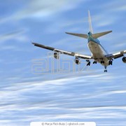 Авиатуры фото