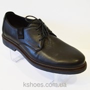 Черные мужские туфли Kadar 2442414 фото