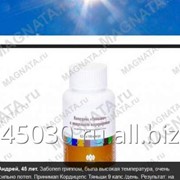 Услуга создания интернет-магазина фото