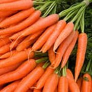 Гидролат моркови фото