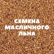 Семена масличного льна на посев фото