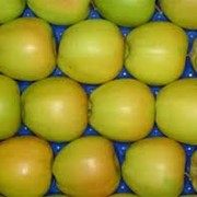 Яблоки Голден Делишес, употребляются в свежем виде и хороши для переработки: соков, компотов, пастилы, мармеладов, чипсов