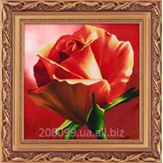 Набор для рисования камнями на холсте “Красная роза“ 5D-054 фото
