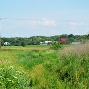 Земельные участки в киевской области фото
