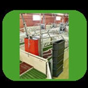 Свиноводческие комплексы. Оборудование.И-ТЕК Украина фото