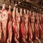 Мясо из Европы фото