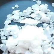 Эмульгатор Оливем фото