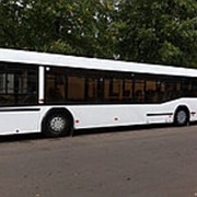 Автобус МАЗ 103464 городской низкопольный 90 мест фото